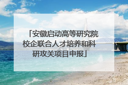 安徽启动高等研究院校企联合人才培养和科研攻关项目申报